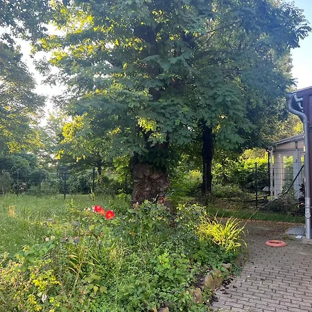Unterkunft Mozart Magdebourg Extérieur photo
